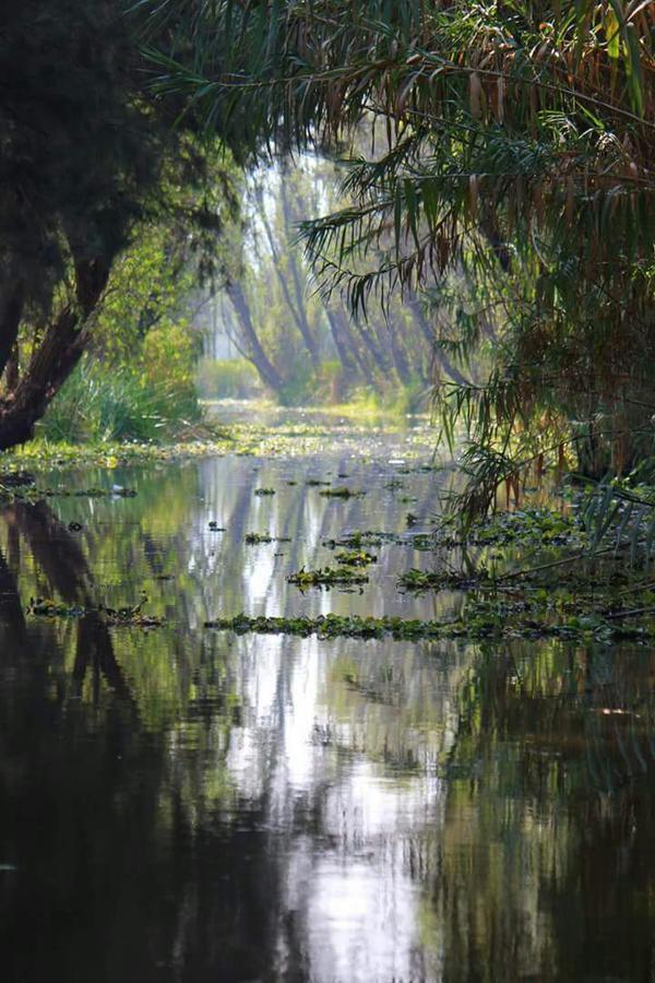 La Quinta De Xochimilco Mexico City